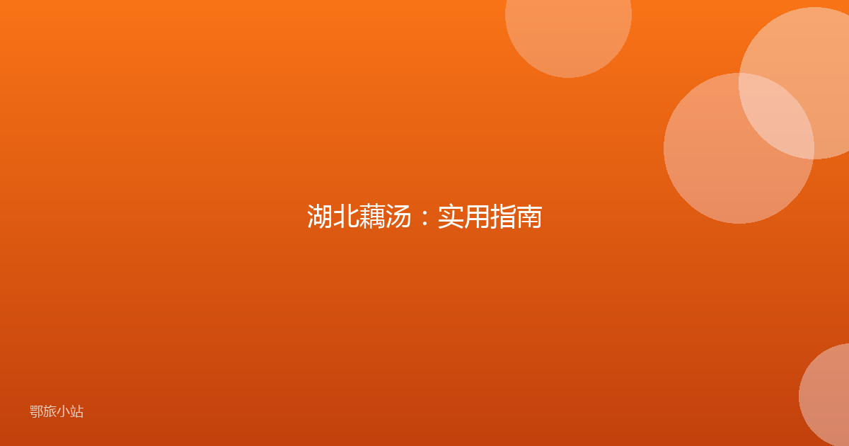 湖北藕汤:实用指南