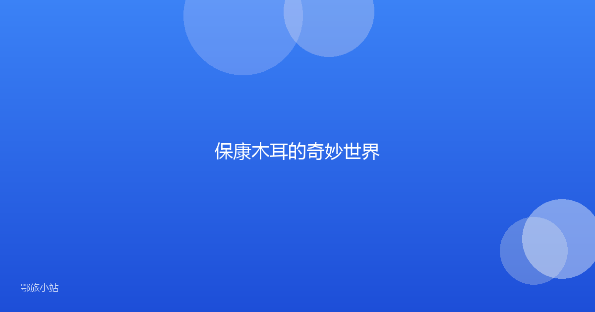 保康木耳的奇妙世界