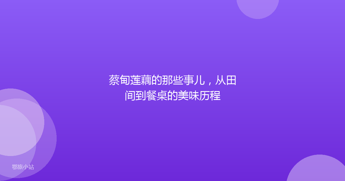蔡甸莲藕的那些事儿，从田间到餐桌的美味历程